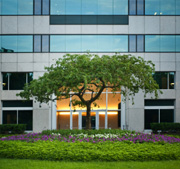 Commercial Landscape Maintenance Arlington Heights, IL